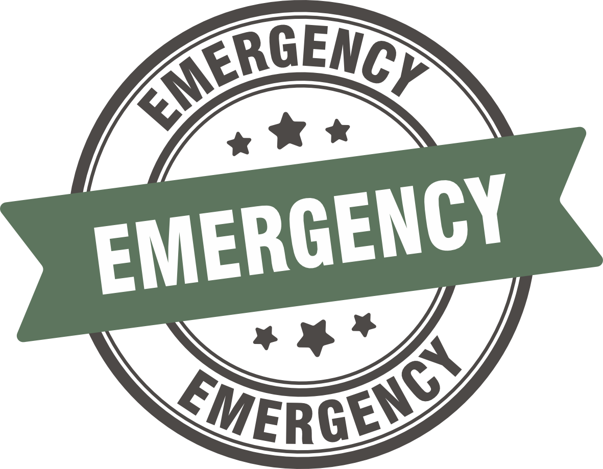 Icons_Emergency.png